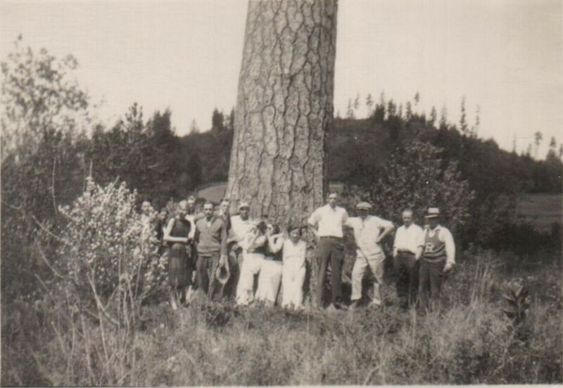 File:1933-1936-rml-0315c-young-people-beside-large-tree-1600.jpg