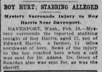 1914-03-01-sr-p10-davenport-boy-stabbed-dr-green.jpg