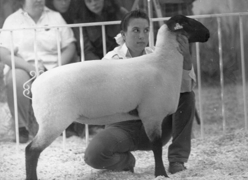 File:199x-dan-print-00519-jls-sheep-1600.jpg