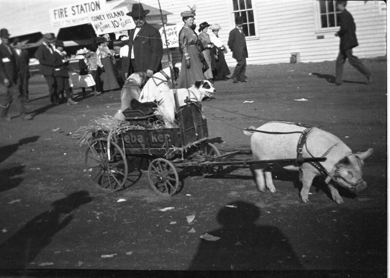File:1905-1915-otto-0168-pig-pulling-car-dogs-1600.jpg