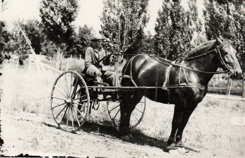 File:1910-rml-0206b-man-with-horse-and-light-buggy.jpg