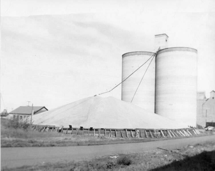 File:1953-08-20-grain-pile-fence-1600.jpg