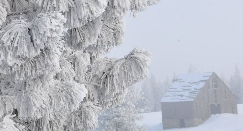 File:2000-2020-fb-0049-heavy-frost-on-pine-old-barn.jpg