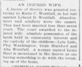 1895-01-22-sr-p5-westfall-divorce-decree.jpg