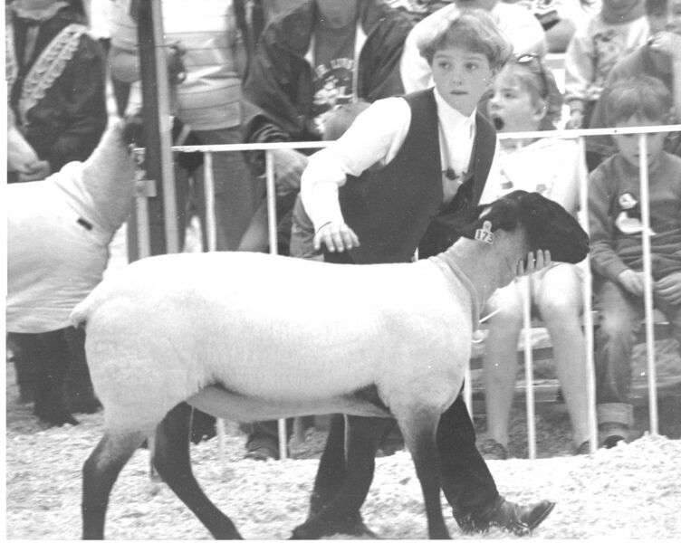 File:199x-dan-print-00397-jls-sheep-1600.jpg